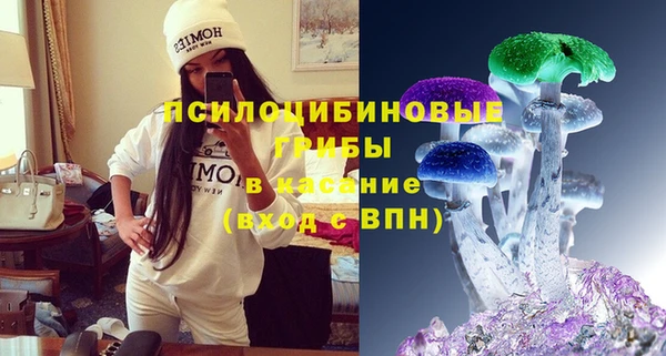 СК Балахна